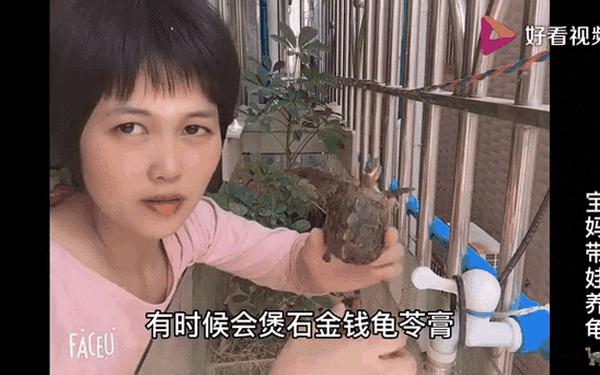 我想用乌龟蹭你的扇贝视频;乌龟蹭背怎么处理