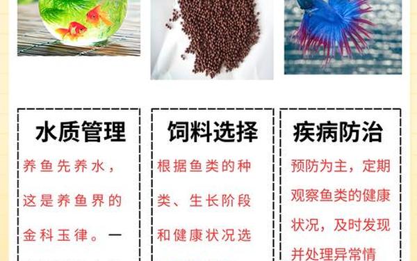 卫鲤被焯出白水怎么办-卫鲤被焯出白水要警惕四种病
