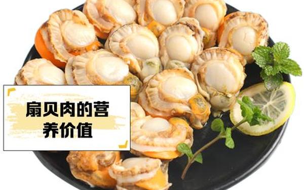 扇贝裙边肉尖边贝-裙边贝和扇的区别
