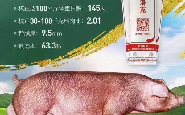 人马畜禽corporation澎湃号,人马畜禽company猪