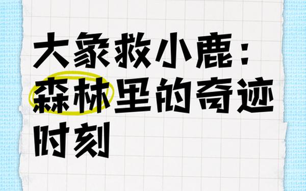 天美麻花果冻大象阳光—用大象森林阳光小溪编一个故事