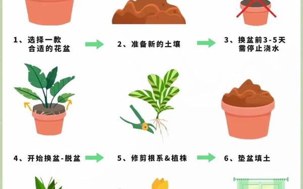 破苞××××+性摘花(见效最快的延时土方法有哪些)