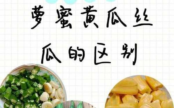 茄子丝瓜榴莲大全(丝瓜茄子宅男榴莲蕾丝)