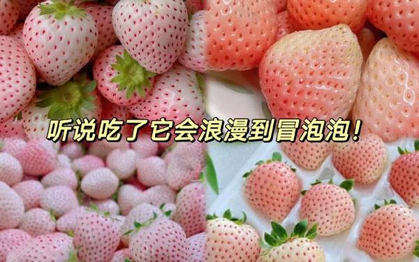 秋葵草莓粉色芭拉榴莲,芭乐和榴莲能一起吃吗