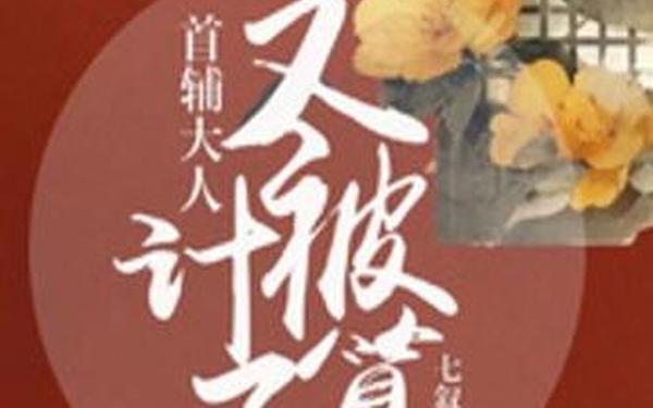 首辅每天要不够po;首辅大人要不够