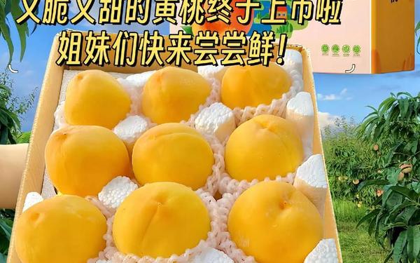 桃子水蜜桃黄桃卡片二维码,暴躁老牛全集免费观看