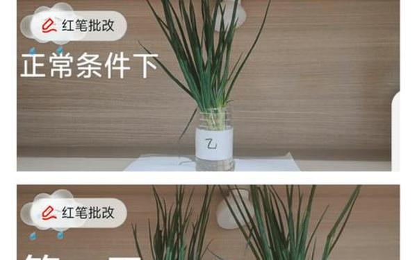生物老师做生物繁殖实验 我被当作生物课上的实验品
