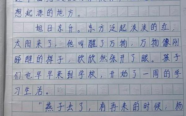 我们班的班花是个小烧壶 我们班的女生作文400字