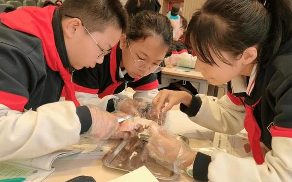 生物老师在课上生孩子给学生们做示范、生物课老师让男生当教材